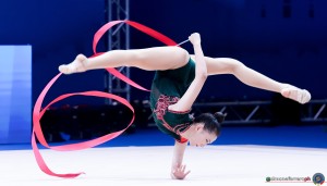 chn 40786 wang zilu sfe04251 simone ferraro ph